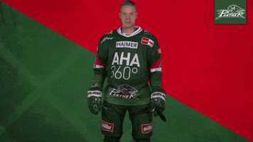 Celebration Goal GIF by Augsburger Panther Eishockey GmbH