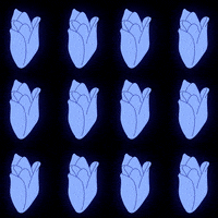 St Valentin Flower GIF