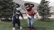 coschoolofmines science university golden colorado GIF