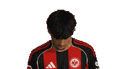 Look Up Eintracht Frankfurt Sticker by Bundesliga