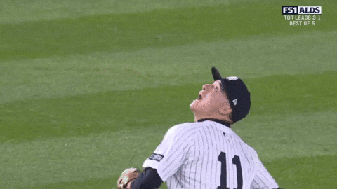New York Yankees Sport GIF by MLB