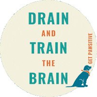 Good Boy Dog Training Sticker by Get Pawsitive Dog Training