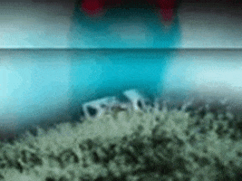 Vintage GIF by jorgemariozuleta