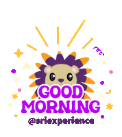 Good Morning Sticker by SRI_Experience