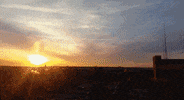 app oc GIF