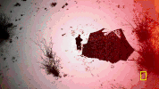 life below zero GIF by National Geographic Channel