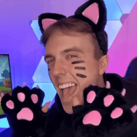 Cat Kitty GIF