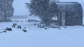 Storm Brings Record-Breaking Snowfall to Northern Nevada