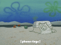 season 1 GIF by SpongeBob SquarePants