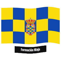 Flag Spain Sticker by Formación Ninja