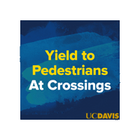 Bike Bicycle Sticker by UC Davis