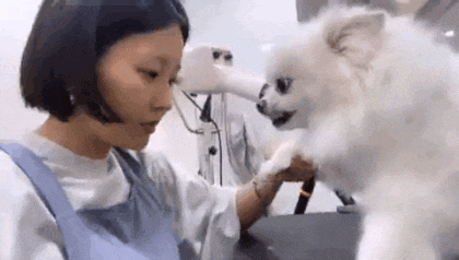 swanjun30 giphyupload GIF