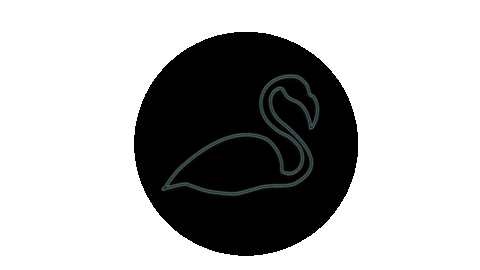 Neon Flamingo Sticker by cadeul