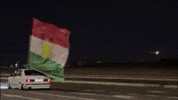 Car Flag GIF