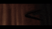 Blood Wallet GIF by The Lumineers