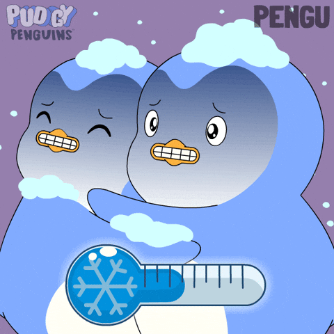 Freezing Cold Weather GIF by Pudgy Penguins