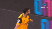 Happy Football GIF by MolaTV