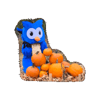 Pumpkin Patch Halloween Sticker by Middlesex Community College