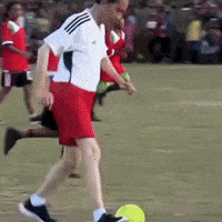 Jokowi GIF