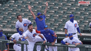 Chicago Cubs Dugout GIF by Marquee Sports Network