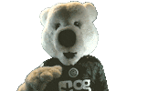Groby Sticker by FC Groningen