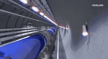 viceland GIF by Motherboard