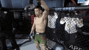 Sport Mma GIF by UFC