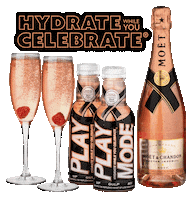 Moet Chandon Drink Sticker by Play Mode Beverage