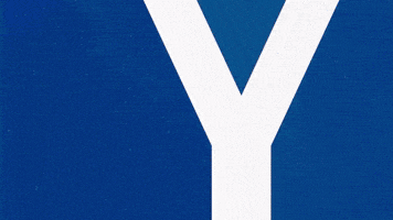 Soccer Bundesliga GIF by Karlsruher SC