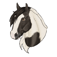 Elegna cheval elegnadessins irishcob Sticker