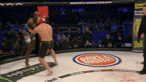 knock out fight GIF by Bellator