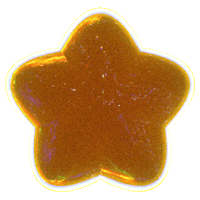 Gold Star Sticker