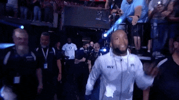 Mixed Martial Arts Sport GIF by UFC