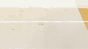 Njvphoto GIF