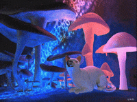 Cat Animation GIF by Uwe Heine Debrodt