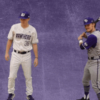 Baseball Wesleyan GIF by KWC Panthers