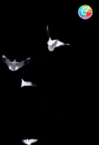 Buenas Noches GIF by Murcianys LLC