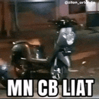Zilanarlanda GIF