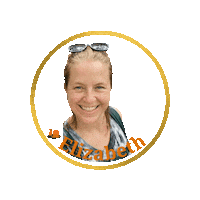 Barksandrecct Sticker by Barks and Recreation, LLC