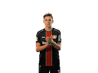 soccer yes Sticker by Bayer 04 Leverkusen