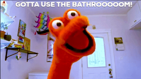 thefactaday giphygifmaker poop toilet bathroom GIF