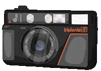 Film Camera Sticker by Valeria Lipovetsky