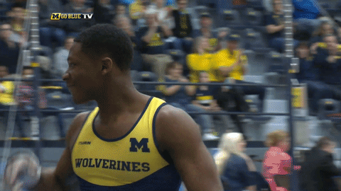 michigan men's gymnastics GIF by Michigan Athletics