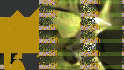 Art Artist GIF by jorgemariozuleta