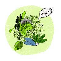 jasminilustra hola plants jasminilu Sticker