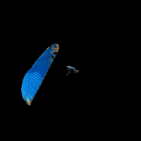 Fly Sat GIF by Flybgd