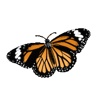 Natureza Sticker