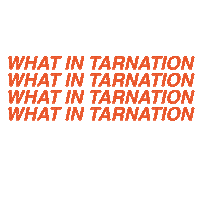 Jordan Hefler No Sticker