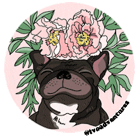 summer smile Sticker by Ivo Adventures