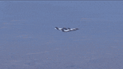 Nascar Racing Sport GIF by NASCAR